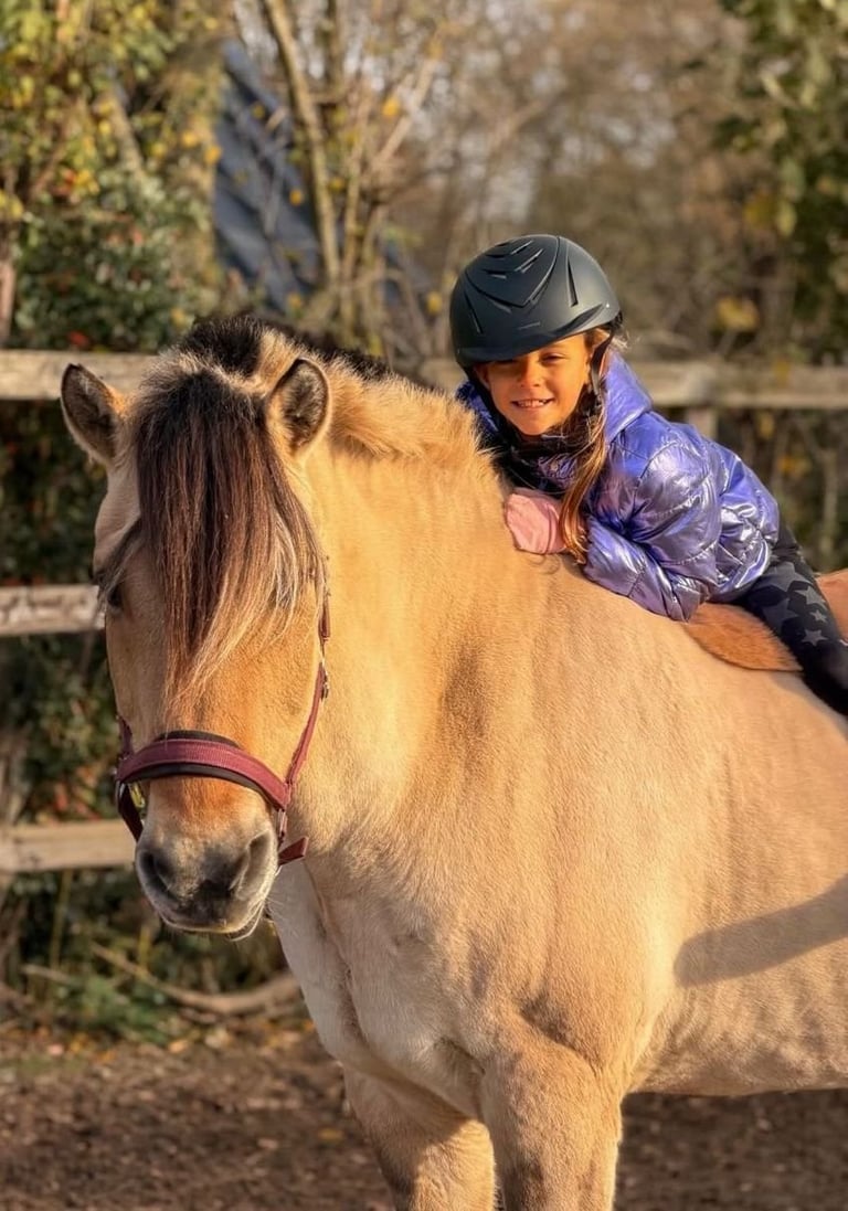 Jong meisje met zwarte helm en paars jack lachend op Teddy, een palomino pony met paars halster